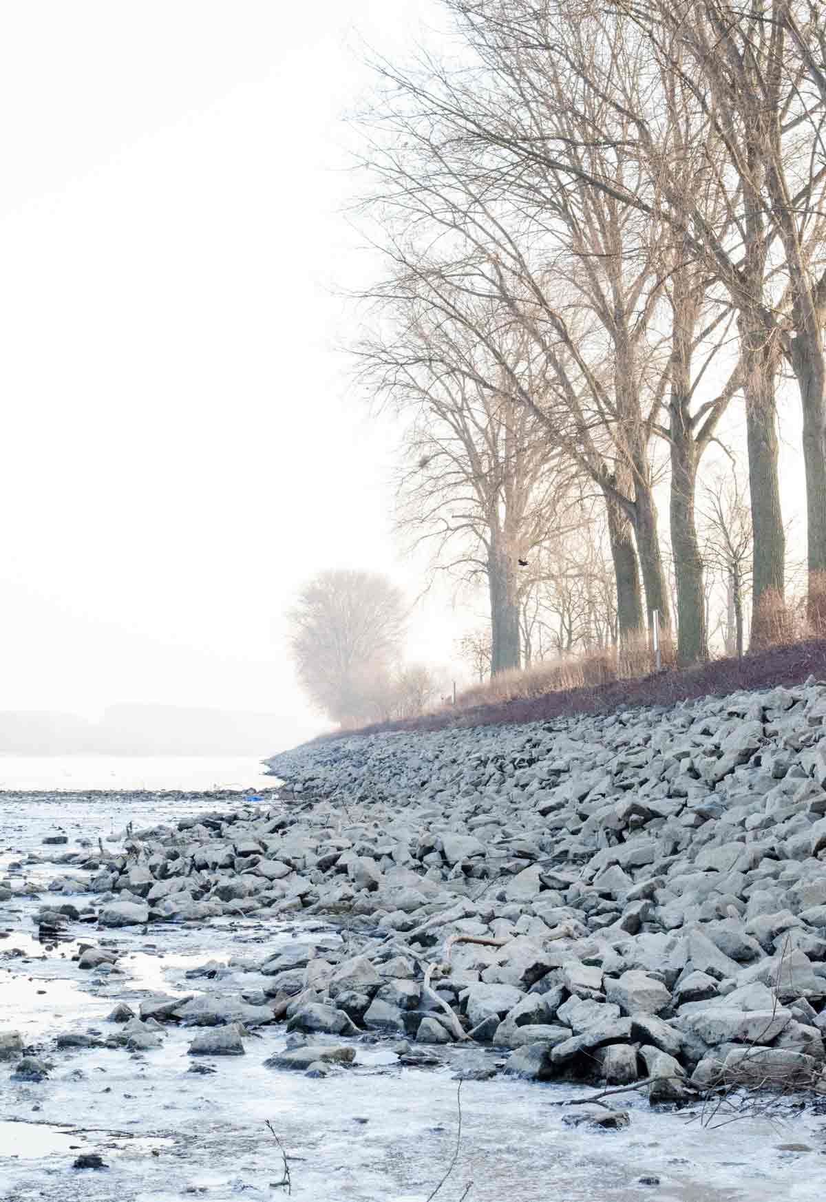 Die steinige Böschung am Rhein. Die Allee am Fluss entlang verschwindet in kühlem Nebel in der Ferne.