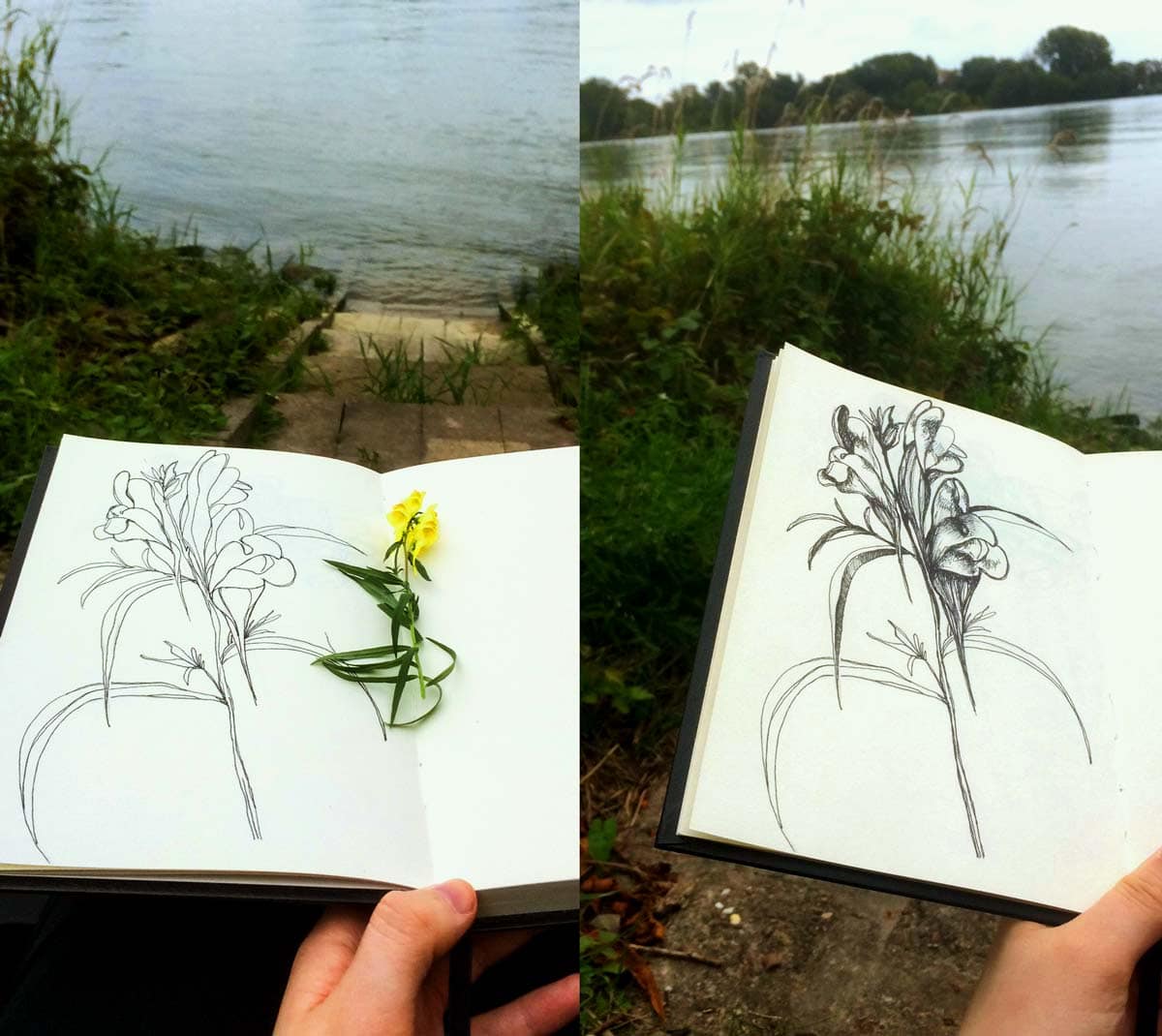 Zwei Bilder von meiner Zeichnung mit Outlines und mit Schraffur am Rhein