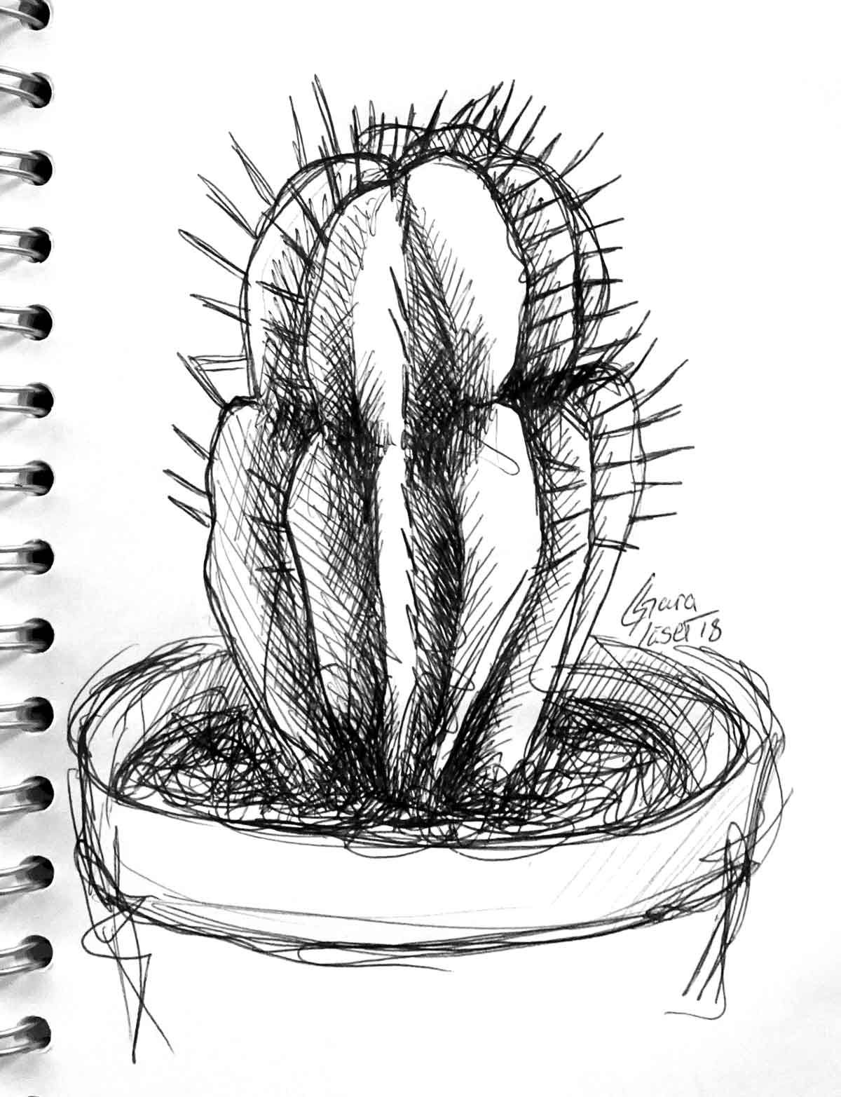schwarze Kulizeichnung eines Kaktus